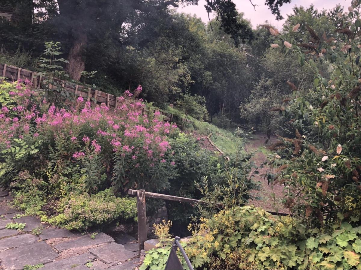 באלה Bryn Melyn Farm Cottages מראה חיצוני תמונה